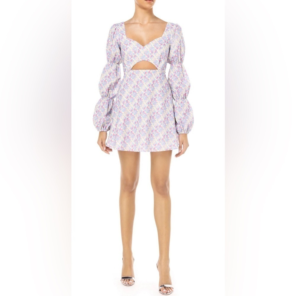 NWT OLIVIA RUBIN Eloise Mini Dress Size 4